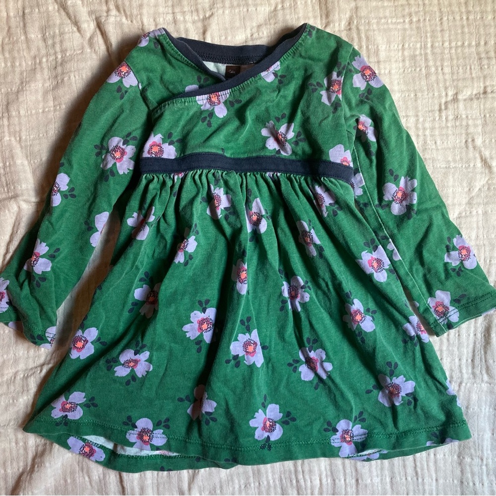 Tea Collection Green Long Sleeve Dress GUC 12-18 months
